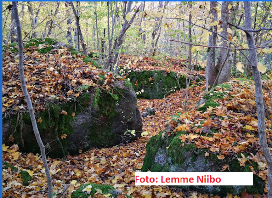 Leetsemõisa rahnud